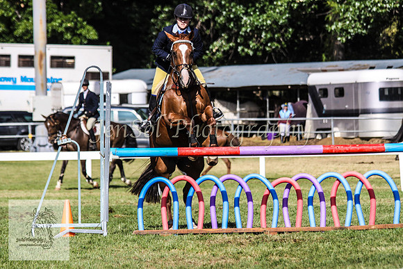 Fri_Showjumping117