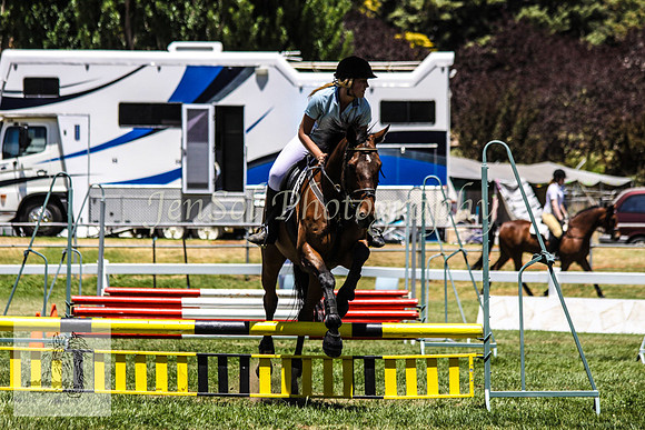 Fri_Showjumping558