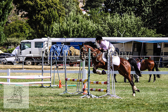 Fri_Showjumping737