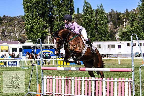 Fri_Showjumping205