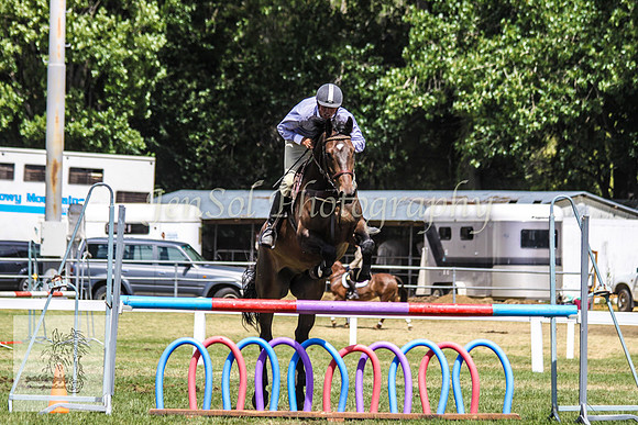 Fri_Showjumping353