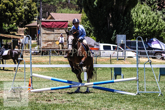 Fri_Showjumping550