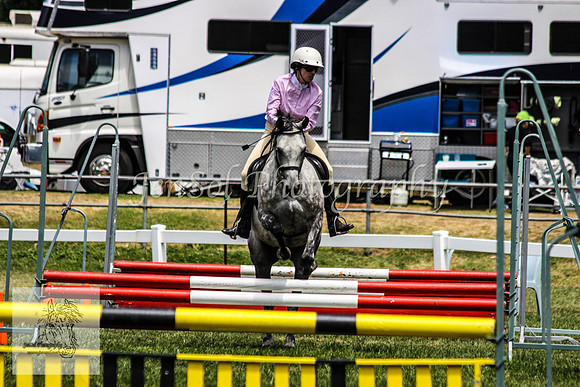 Fri_Showjumping593