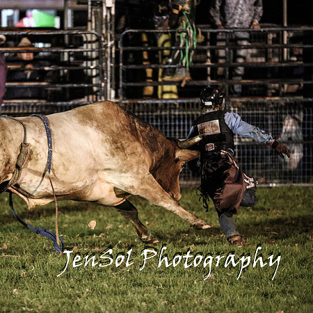 MiltonShowRodeo2018_1388