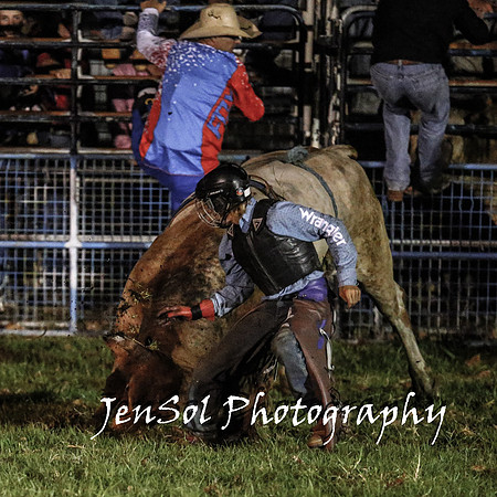 MiltonShowRodeo2018_1373