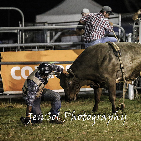 MiltonShowRodeo2018_1962