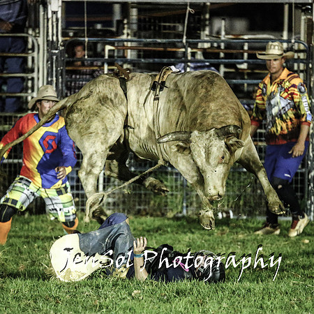 MiltonShowRodeo2018_1433
