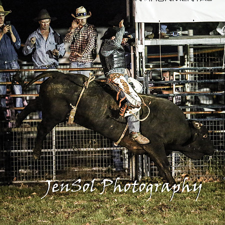 MiltonShowRodeo2018_2379