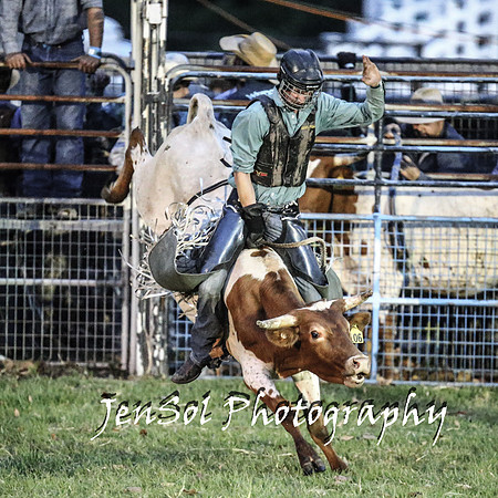 MiltonShowRodeo2018_0924