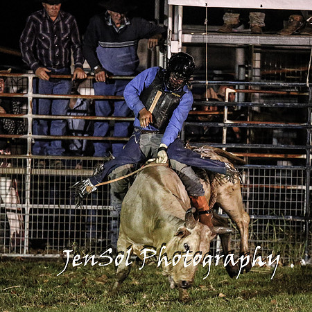 MiltonShowRodeo2018_1886