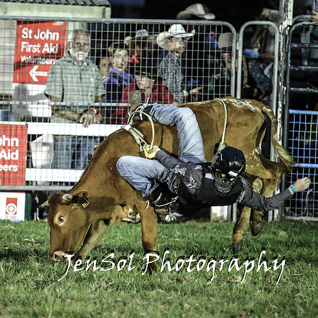 MiltonShowRodeo2018_1027