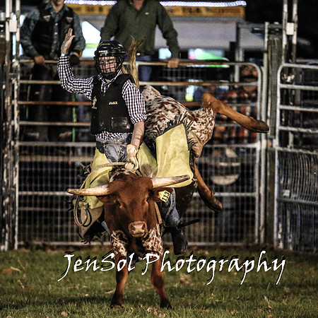 MiltonShowRodeo2018_1098