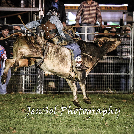 MiltonShowRodeo2018_1806