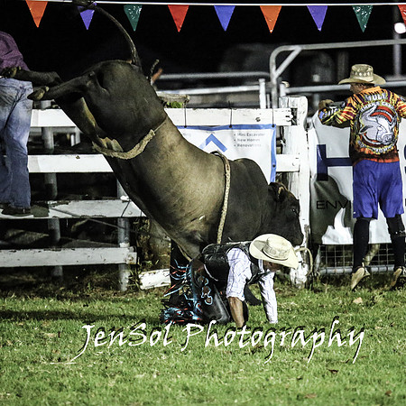 MiltonShowRodeo2018_2283