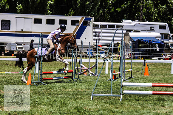Fri_Showjumping477