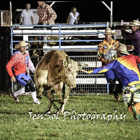 MiltonShowRodeo2018_2042