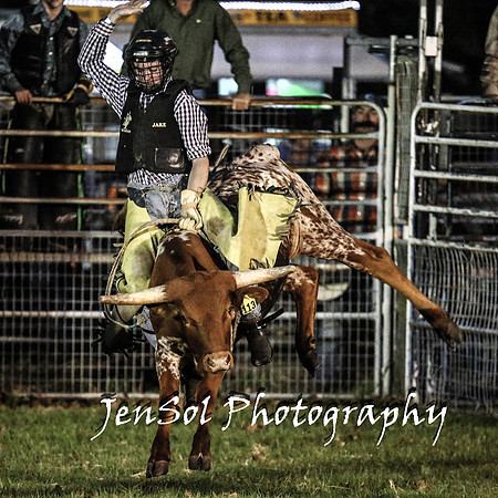 MiltonShowRodeo2018_1096