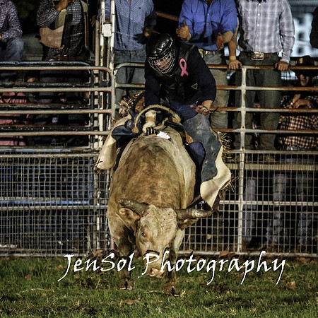 MiltonShowRodeo2018_1412