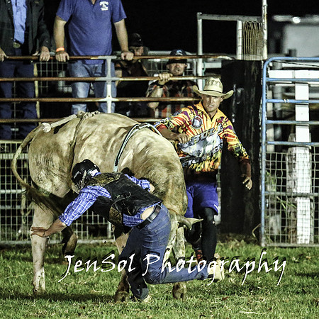 MiltonShowRodeo2018_1224