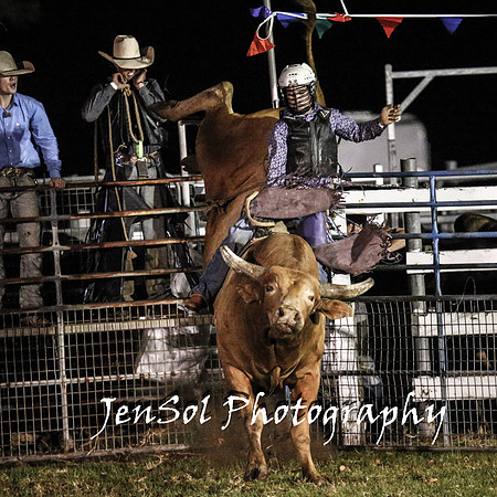 MiltonShowRodeo2018_2498