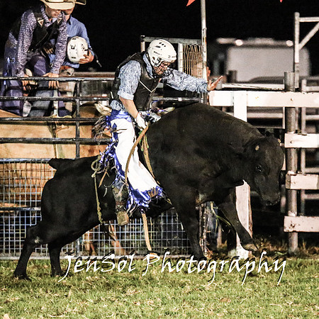 MiltonShowRodeo2018_2300