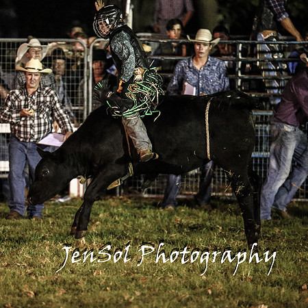 MiltonShowRodeo2018_1738