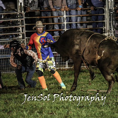 MiltonShowRodeo2018_1148