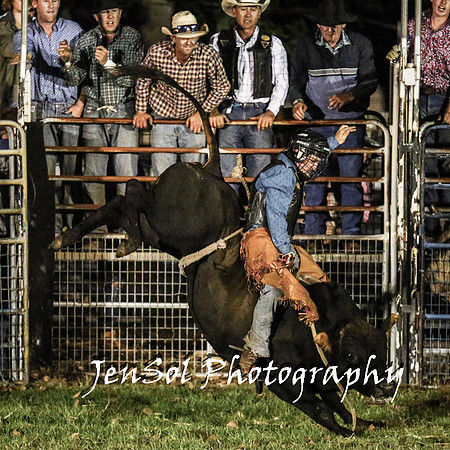 MiltonShowRodeo2018_1242