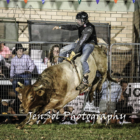 MiltonShowRodeo2018_2107