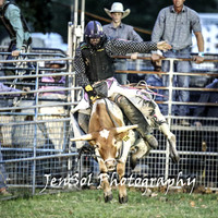 MiltonShowRodeo2018_0872