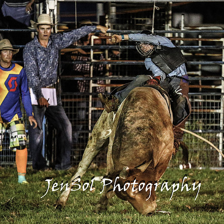MiltonShowRodeo2018_1365