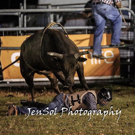 MiltonShowRodeo2018_1961