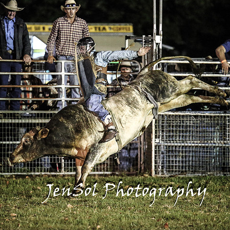 MiltonShowRodeo2018_1800