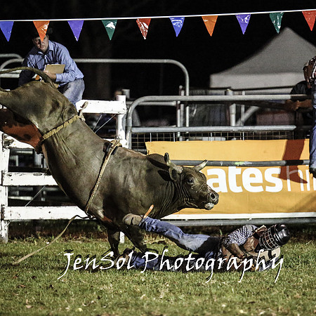 MiltonShowRodeo2018_1942
