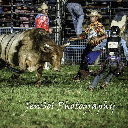 MiltonShowRodeo2018_1389