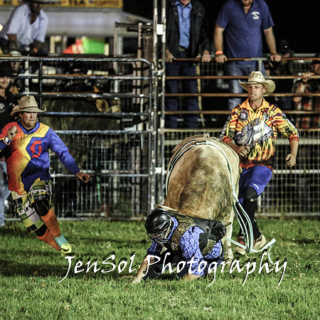 MiltonShowRodeo2018_1214