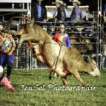 MiltonShowRodeo2018_1132