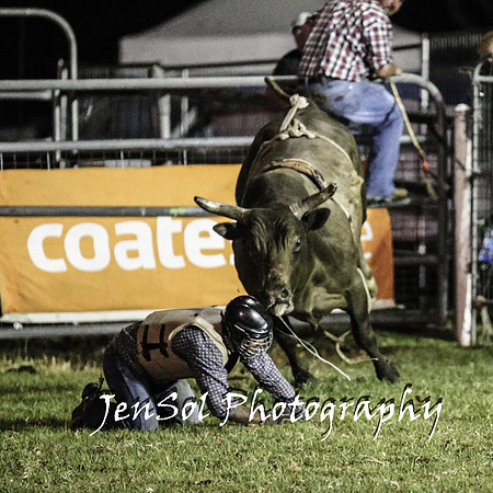 MiltonShowRodeo2018_1965