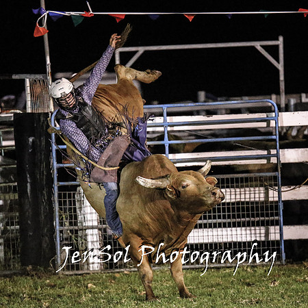 MiltonShowRodeo2018_2492