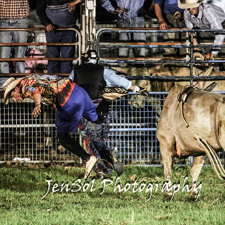 MiltonShowRodeo2018_1273