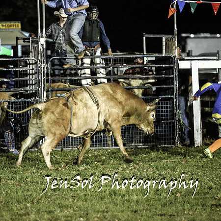 MiltonShowRodeo2018_2206