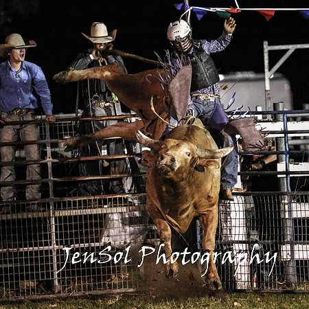 MiltonShowRodeo2018_2496