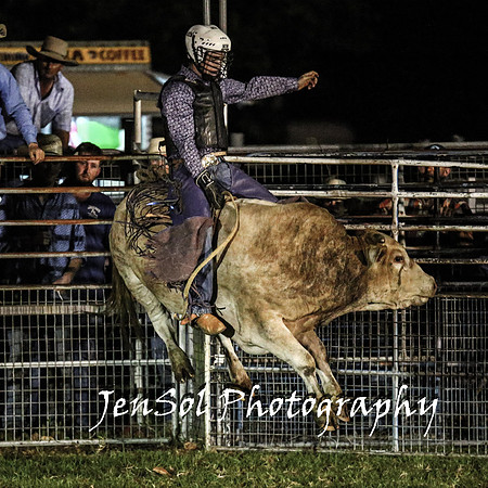 MiltonShowRodeo2018_2060