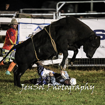 MiltonShowRodeo2018_2309