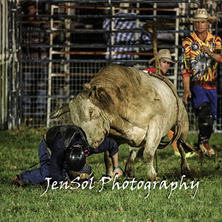 MiltonShowRodeo2018_1431