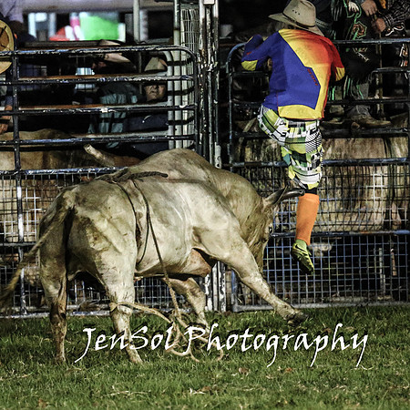 MiltonShowRodeo2018_1281