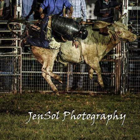 MiltonShowRodeo2018_1422
