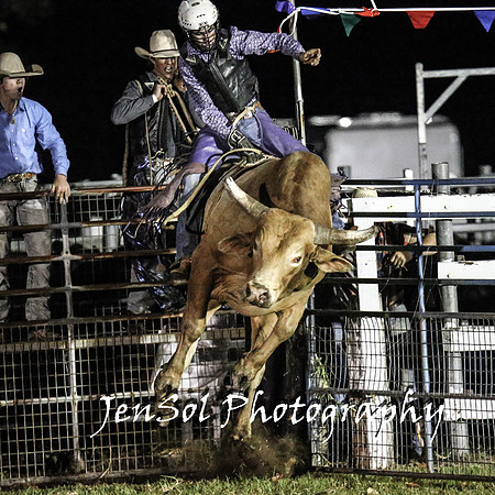 MiltonShowRodeo2018_2489
