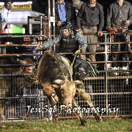 MiltonShowRodeo2018_1316