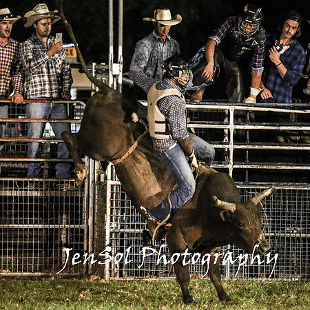 MiltonShowRodeo2018_1923